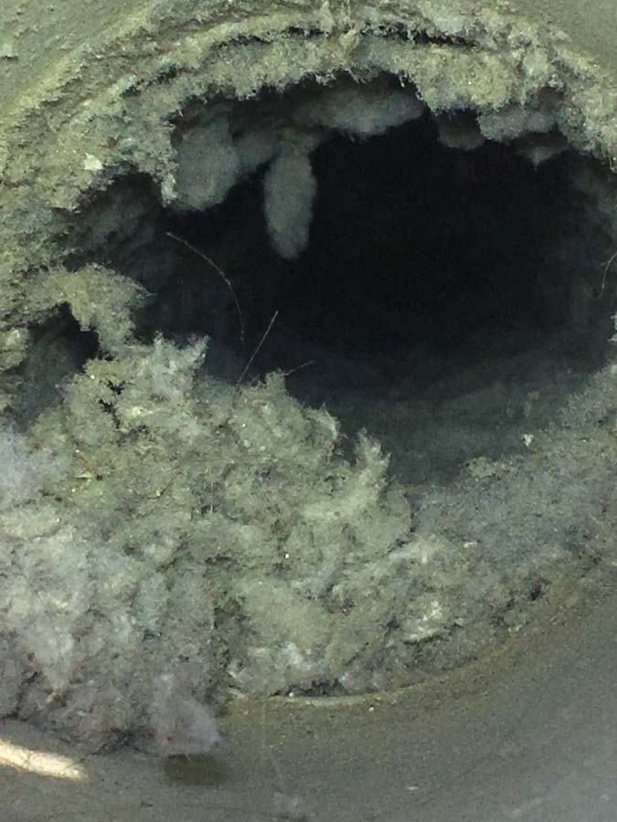 Dryer Vent King YARDLEY Before